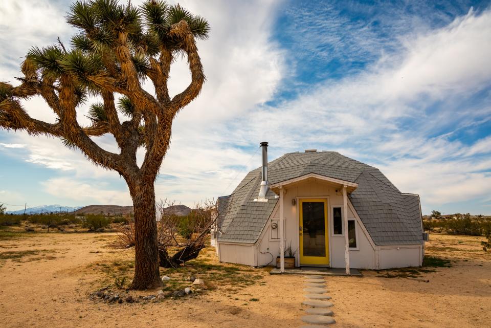 Exterior of dome with Joshua tree next to it 