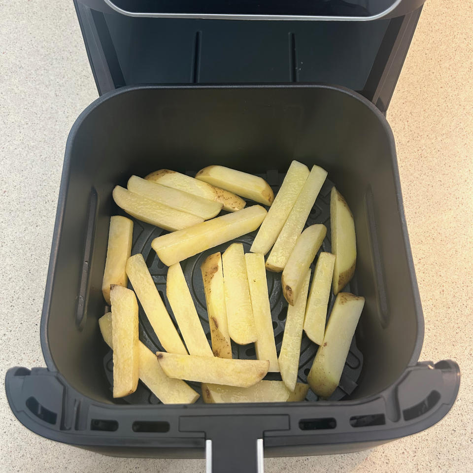 Testing the Ninja Air Fryer MAX PRO