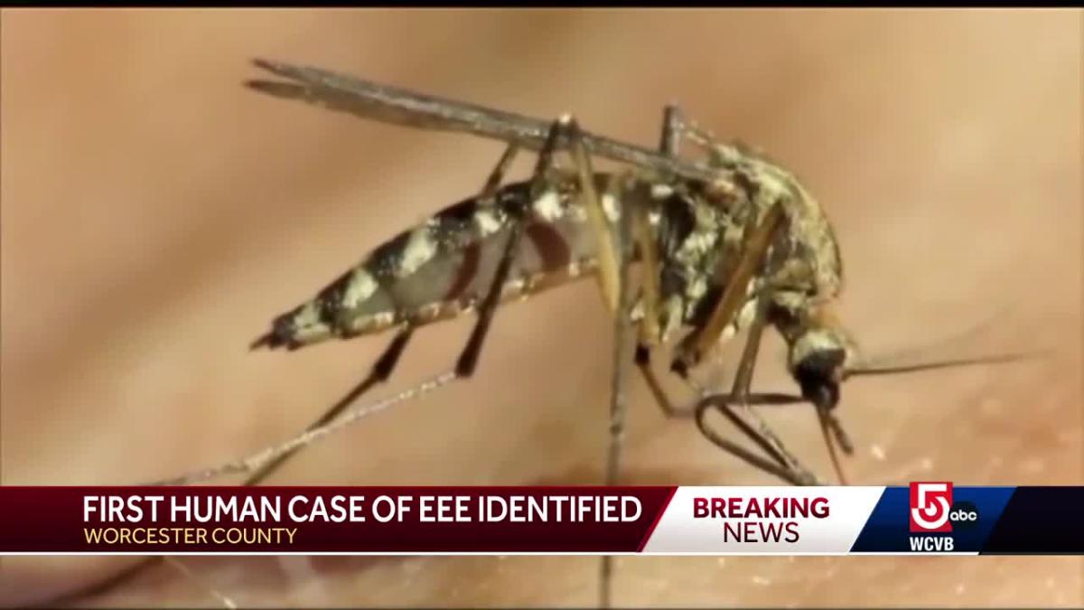 First Human Case of EEE in Massachusetts Since 2020