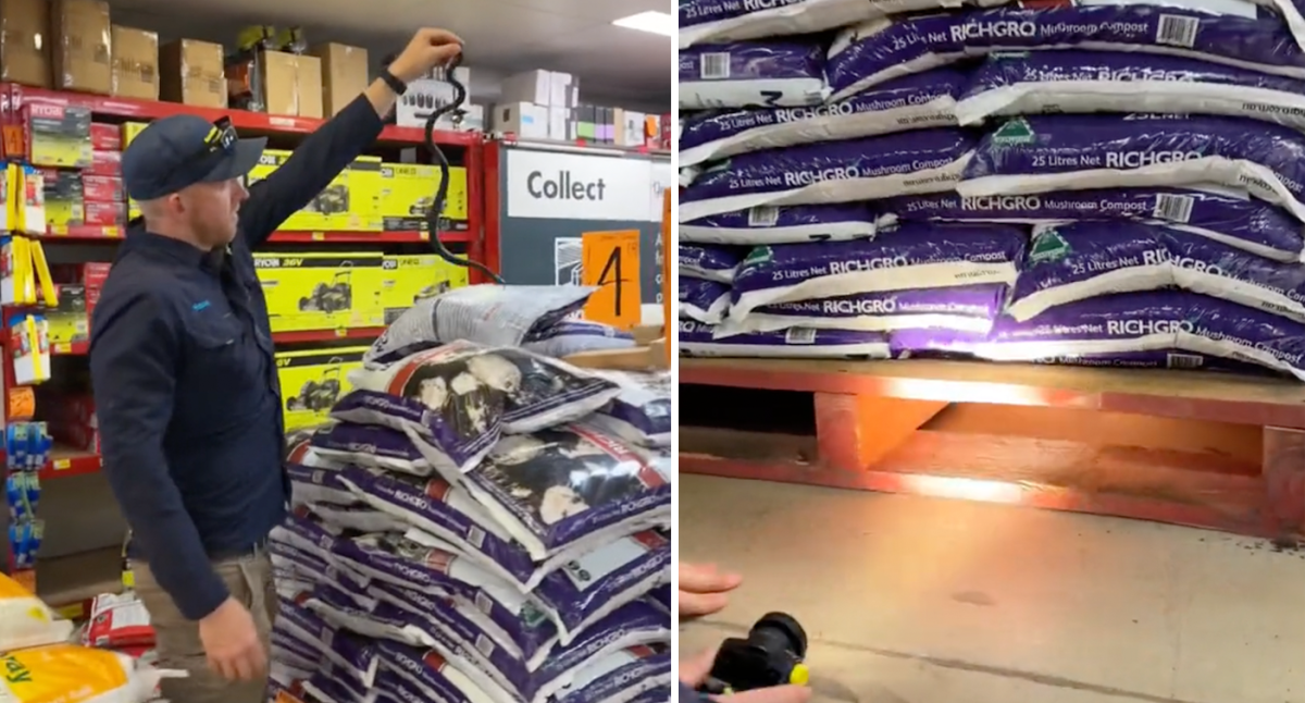 Los clientes de Bunnings se vieron obligados a huir tras un descubrimiento «inusual» en la tienda