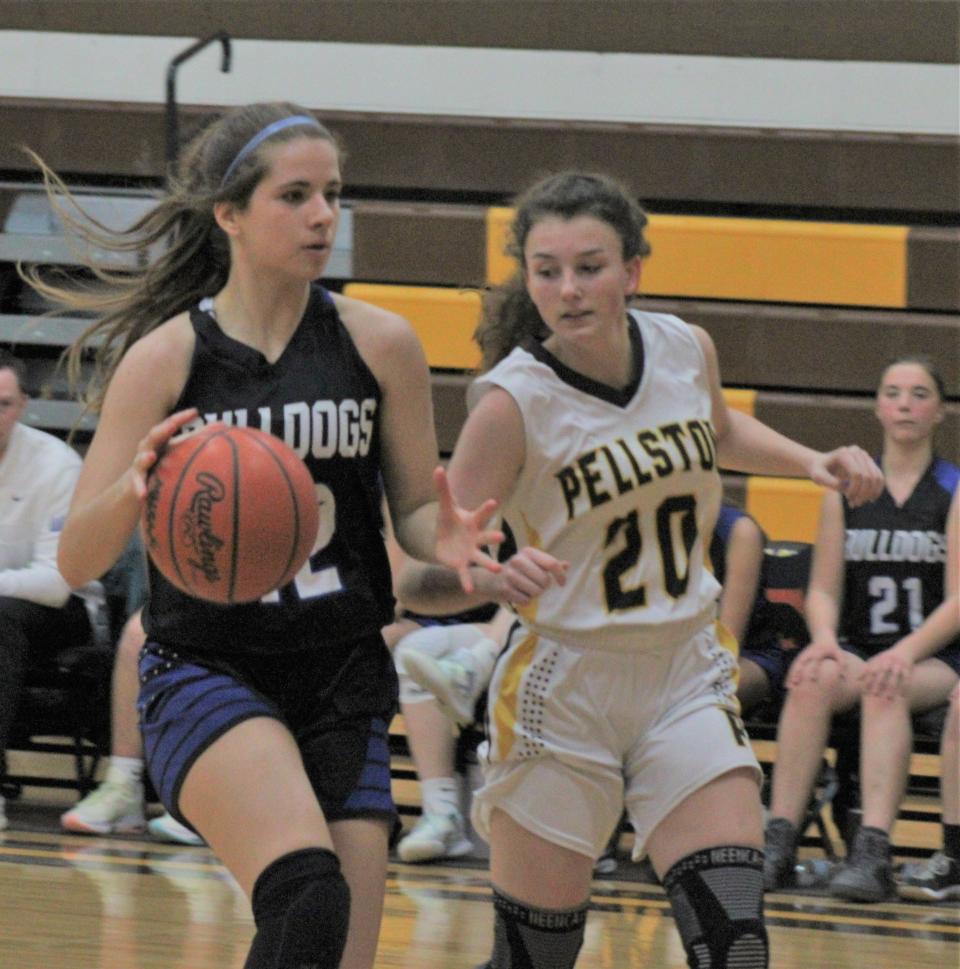 Inland Lakes freshman Chloe Robinson (left) looks to get past Pellston sophomore Hailey Davis (20) during the third quarter of Friday night's girls basketball matchup in Pellston.