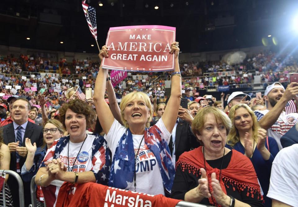 Trump supporter attends rally during 2016 general election (AFP/Getty Images)