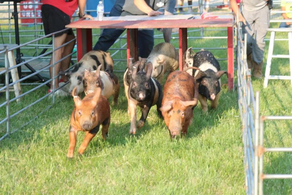 The Ottawa County Fair kicks off Monday, as the fair celebrates its 58th year with a full schedule next week of 4-H activities, animal judging, demolition derby and evening grandstand entertainment.