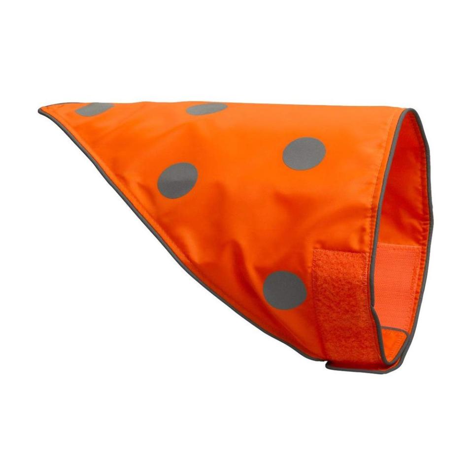 Spot the Dog Classic Orange Reflective Protective Bandana