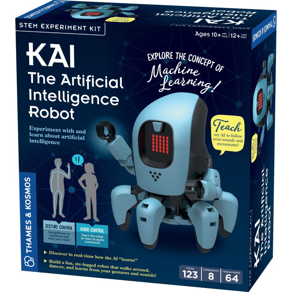 Kai, the Artificial Intelligence Robot