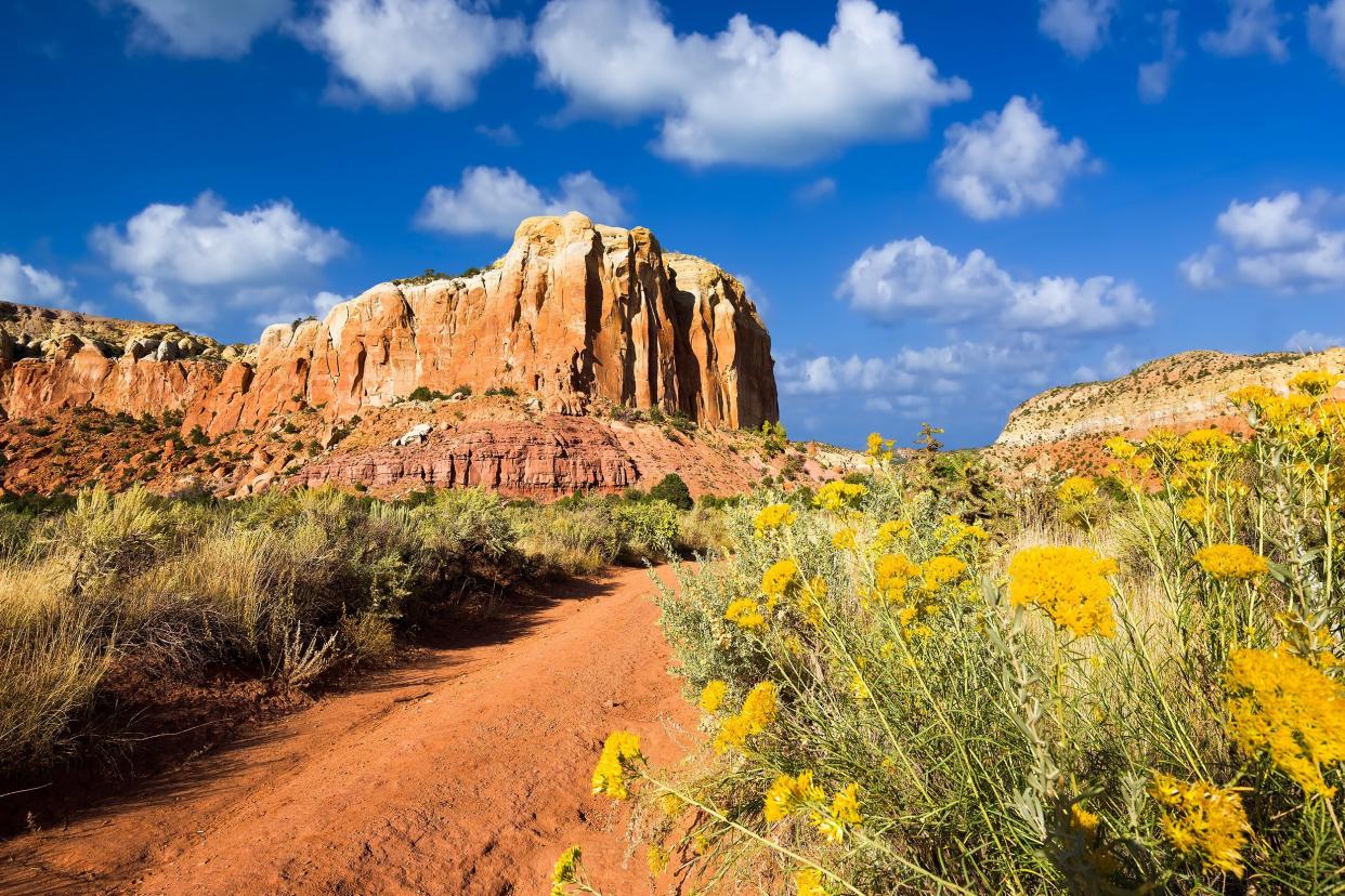 late afternoon in the Red Rocks area of Northern New Mexico