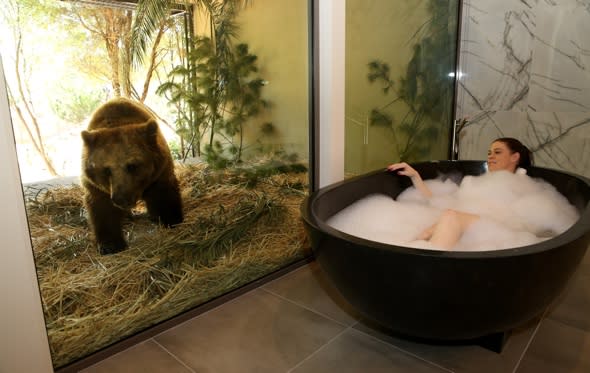 Lunch with lions and bedrooms with bears: Introducing the new zoo hotel