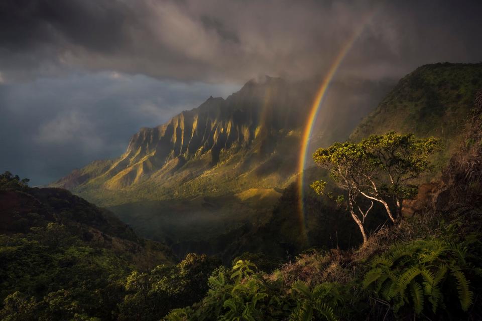 Kauai, Hawaii.