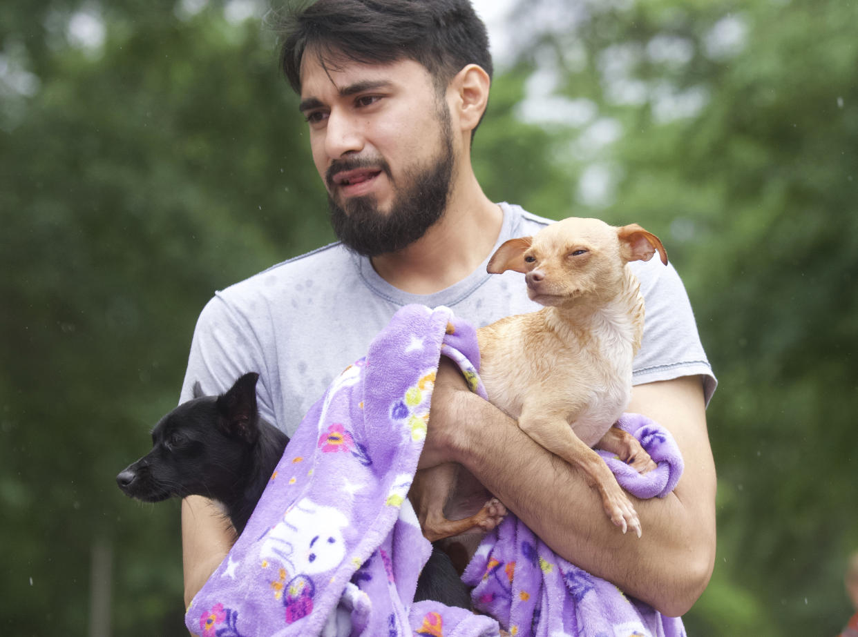 A man carries two dogs wrapped in a blanket.
