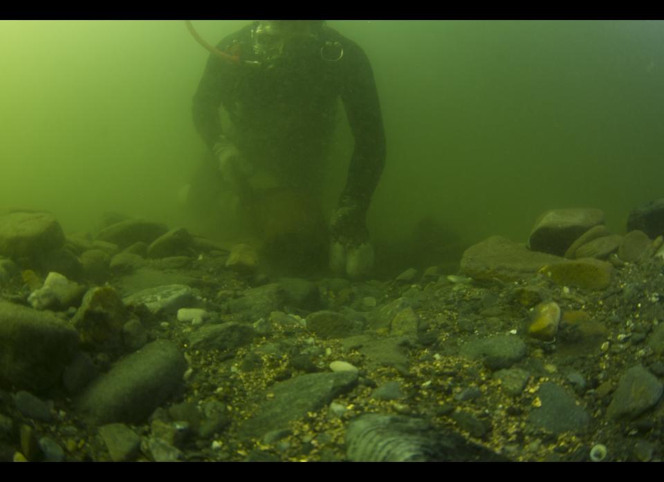 <strong>Starring:</strong> Crews of four different gold dredging ships    <strong>What It's About:</strong> This documentary series from the producers of "<a href="http://www.aoltv.com/show/deadliest-catch/185354" target="_hplink">Deadliest Catch</a>" follows the seafaring inhabitants of Nome, Alaska, as they dredge the ocean to try and retrieve the vast quantities of gold being deposited into the Bering Sea by melting glaciers.    <em>Series premieres Fri., Jan. 27, 10 p.m. EST on Discovery</em>