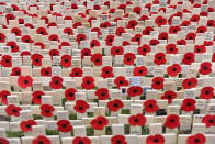 <p>Crosses with poppy are pictured outside Westminster Abbey in memory of the victims of WWI, London on November 6, 2018. (Photo from Alberto Pezzali/NurPhoto via Getty Images) </p>