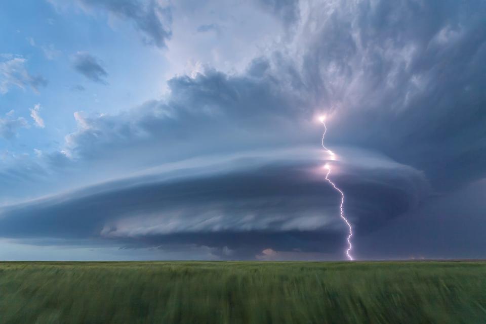 According to NWF: A self-described “adrenaline junkie,” retired firefighter Laura Hedien has been chasing storms for 15 years across the Great Plains. With friends, she followed this one from Colorado into Kansas, where, toward nightfall, it shot lightning through a swirling “spaceship” of clouds. “This is what we call a shoot ’n scoot,” she says of the chase. “These storms feel alive, morphing as they move. It’s so exciting.” LAURA HEDIEN, 2020 National Wildlife® Photo Contest