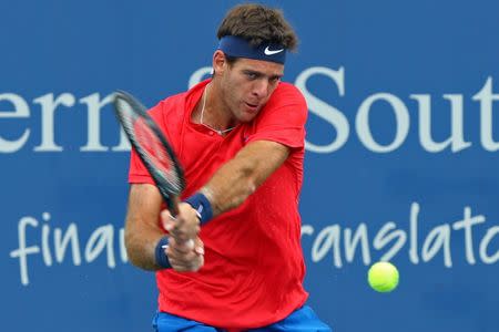 FILE PHOTO - Aug 17, 2017; Mason, OH, USA; Juan Martin del Potro (ARG) returns a shot against Grigor Dimitrov (BUL) during the Western and Southern Open at the Lindner Family Tennis Center. Mandatory Credit: Aaron Doster-USA TODAY Sports