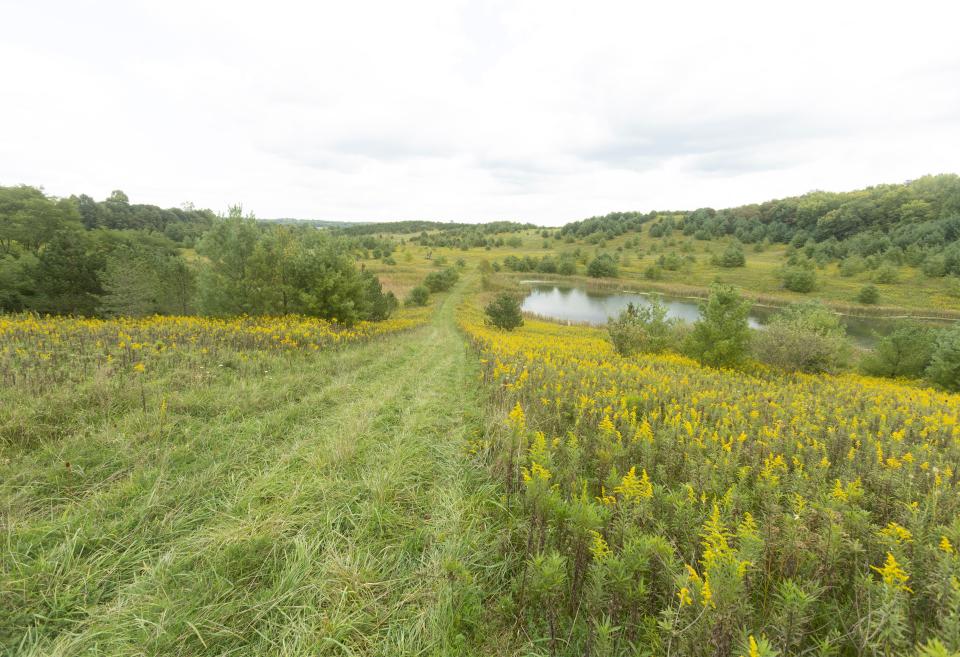 Stark Parks will convert this property in Pike Township that once held the city wastewater plant and sludge farm into a park geared toward horse riding and hiking.