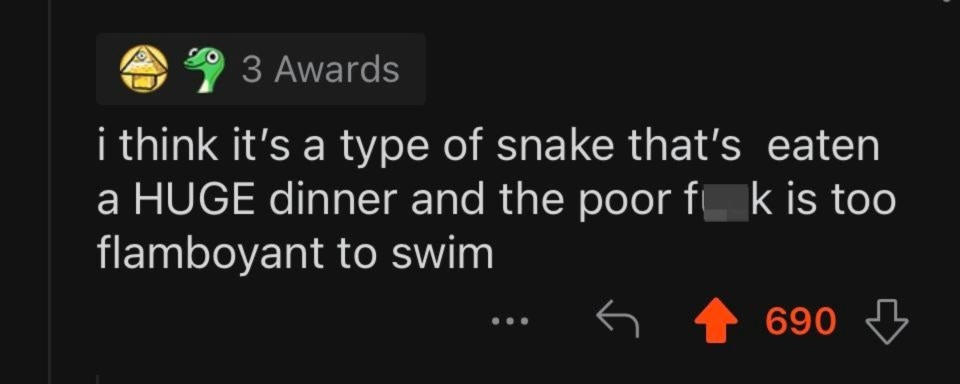 "i think it's a type of snake that's eaten a HUGE dinner and the poor f*ck is too flamboyant to swim"