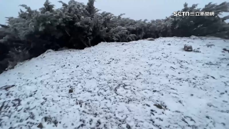 玉山今日清晨飄雪，積雪1公分。