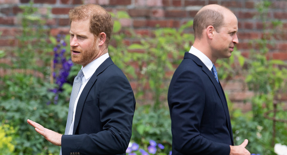 Prince Harry (left) stands back to back with his brother Prince William (right) with greenery behind them