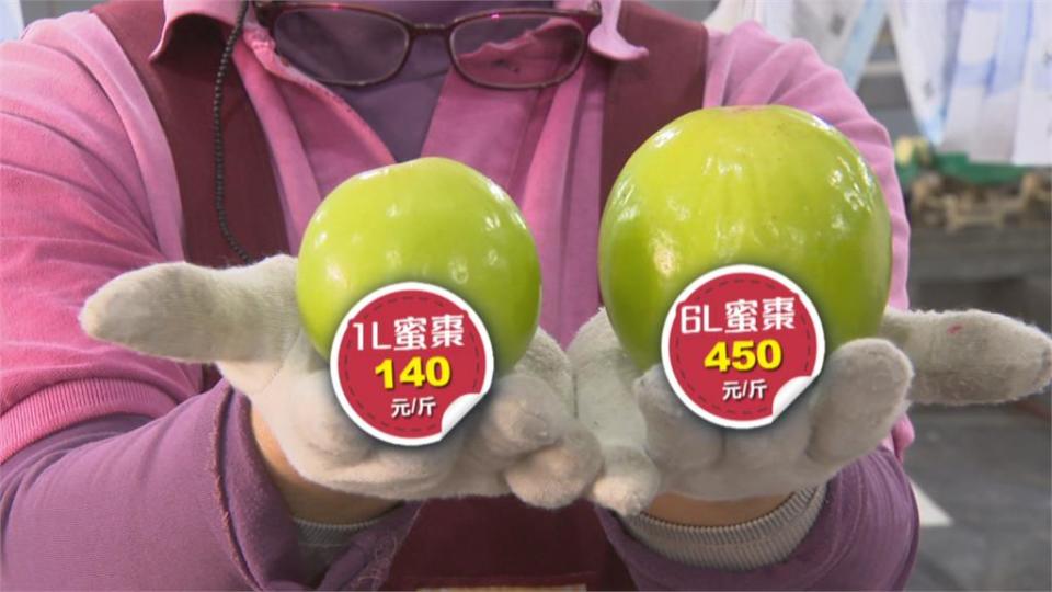 保護大社盛產的蜜棗！農民防寒、警「護棗專案」防偷