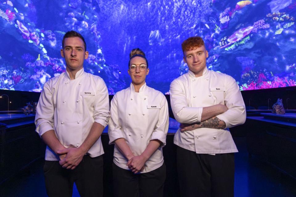 masterchef the professionals finalists 2023 tommy, kasae, tom