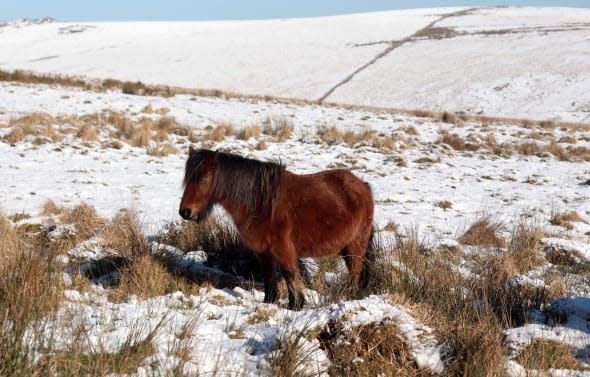 Snow Covers Dartmoor As The UK Braces Itself For More Cold Winter Weather