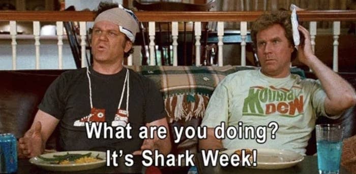 John C. Reilly and Will Ferrell sit on a couch with puzzled expressions; text reads, "What are you doing? It's Shark Week!"