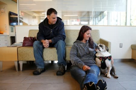 Moose, a six-year-old English Bulldog, waits with his owners to receive trial medical treatment in North Grafton