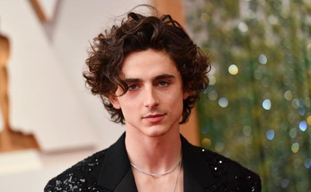 Timothee Chalamet Archives - Jewellery World