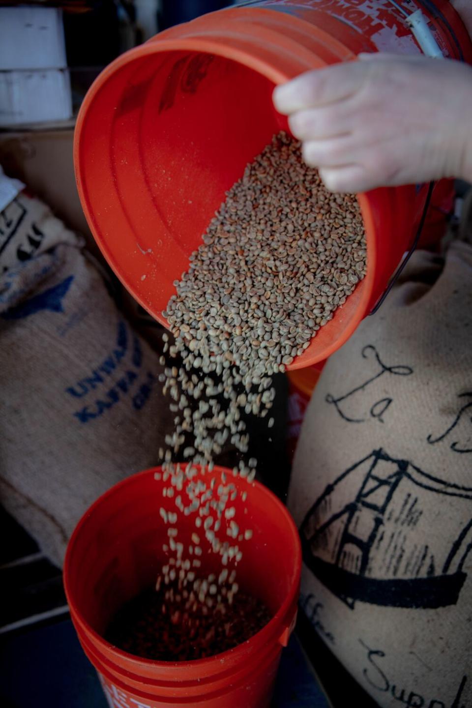 Hands pour coffee beans from one orange bucket to another