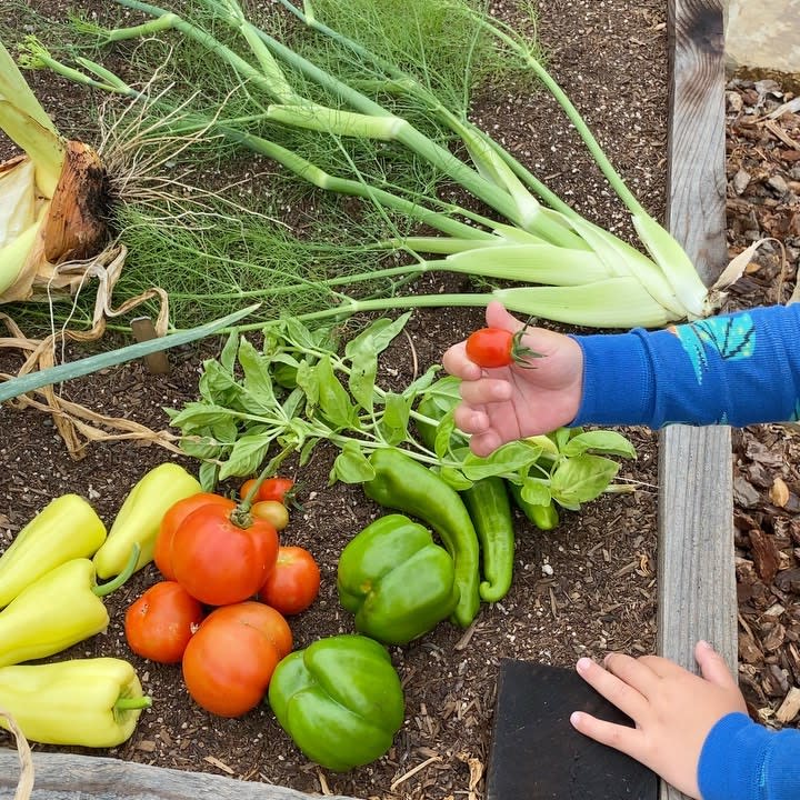 Pink Shows Off Delicious Homegrown Veggies With Son Jameson