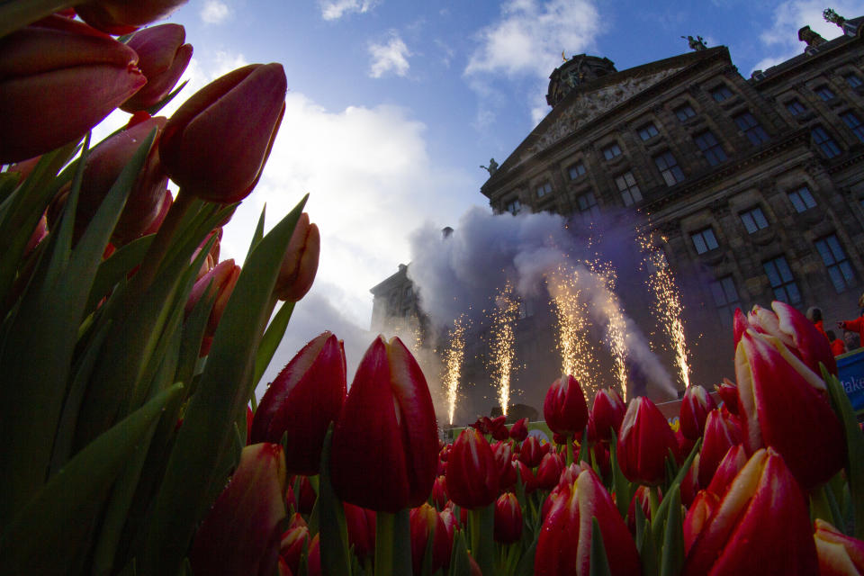 Fireworks are set off as scores of people wait pick free tulips on Dam Square in front of the Royal Palace in Amsterdam, Netherlands, Saturday, Jan. 18, 2020, on national tulip day which marks the opening of the 2020 tulip season. (AP Photo/Peter Dejong)