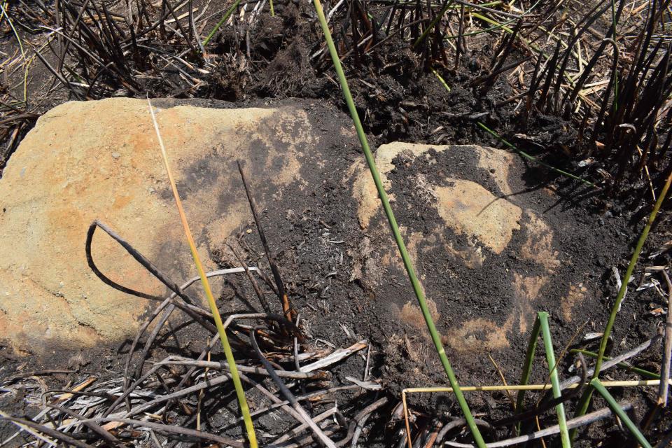 The moai statue found on Easter Island February 21 by a group of scientists studying the bed of the Rano Raraku lake.