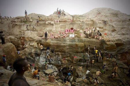 Prospectors search for gold at a gold mine near the village of Gamina, in western Ivory Coast, March 17, 2015. REUTERS/Luc Gnago