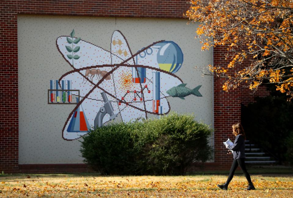 A person walks in front of a mural on the Wiser-Patten Science Hall at Middle Tennessee State University on Friday afternoon Nov. 10, 2023, in Murfreesboro, Tenn, as leaves change across campus and yellow leaves carpet the grass.