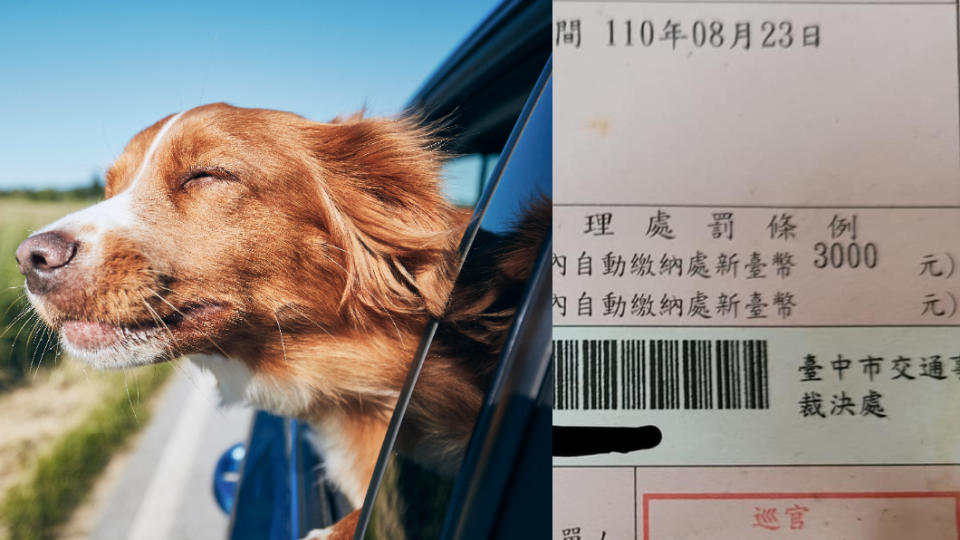 有網友分享載愛犬，狗狗露出車窗遭檢舉開罰。（圖片來源/ 擷取自臉書社團《米克斯傳奇》、Shutterstock達志影像）