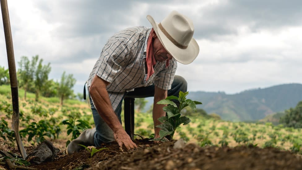 Campesino en Colombia