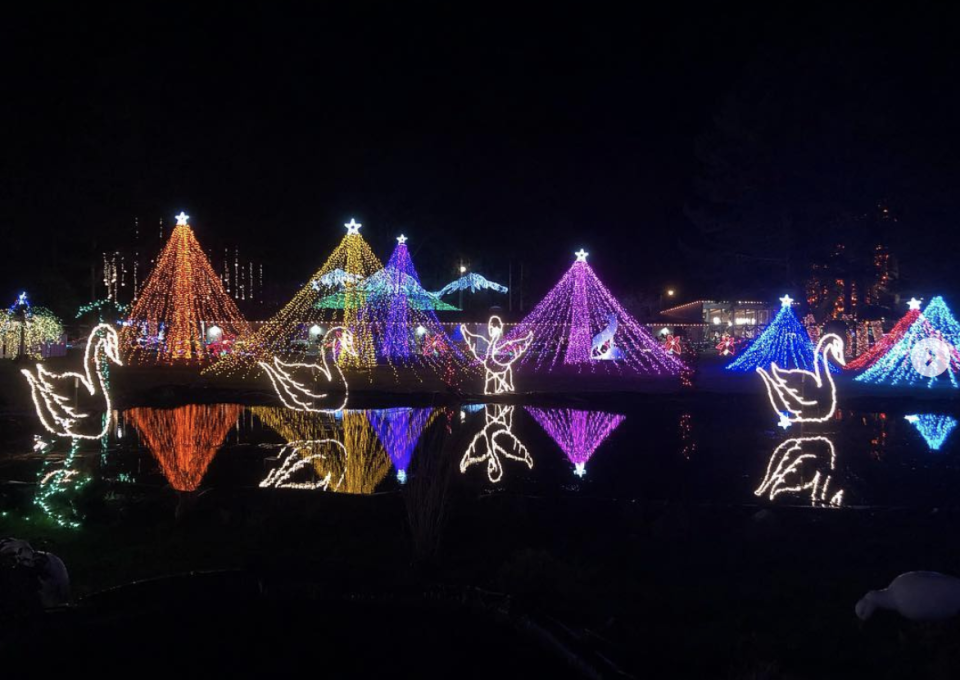 The Lights of Christmas in Stanwood, Washington