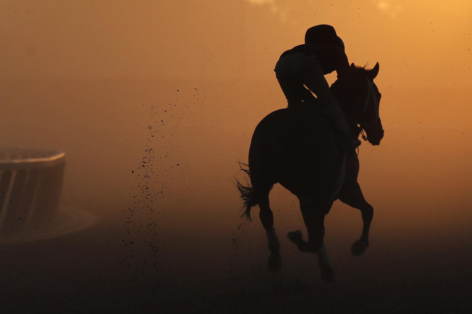 An exercise rider gallops a thoroughbred around the track during a workout at Belmont Park, Tuesday, June 5, 2018, in Elmont, N.Y. Justify will attempt to become the 13th Triple Crown winner when he runs in the 150th running of the Belmont Stakes horse race on Saturday. (AP)