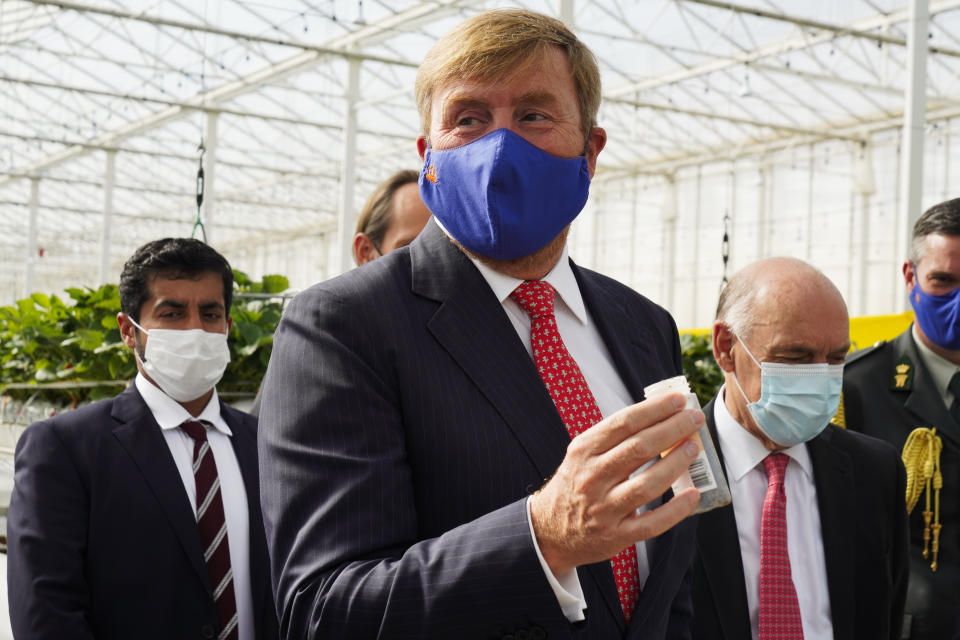 King Willem-Alexander visits the Pure Harvest strawberry farm near Sweihan in Abu Dhabi, United Arab Emirates, Wednesday, Nov. 3, 2021. King Willem-Alexander and Queen Maxima of the Netherlands are in the United Arab Emirates as part of a royal trip to the country to visit Dubai's Expo 2020. (AP Photo/Jon Gambrell)
