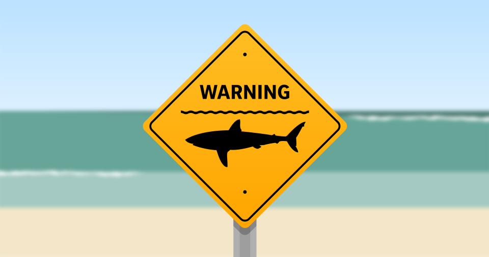 It might seem as if shark attacks are on the rise after two recent attacks – less than two hours and 5 miles apart – left three people injured on Florida Panhandle beaches in June 2024. Worldwide, there were 69 unprovoked shark bites on humans in 2023, and 36 of them were in the United States. Two of the 36 were fatal: one in Hawaii, the other in California.