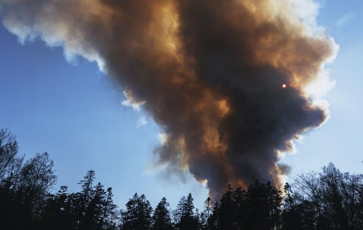 A joint health and safety committee with the Ministry of Natural Resources and Forestry submitted a request on Thursday that the Ontario government do more to inform, educate and protect wildland firefighters against hazards associated with occupational exposure to toxins. (Ontario Ministry of Natural Resources and Forestry - image credit)