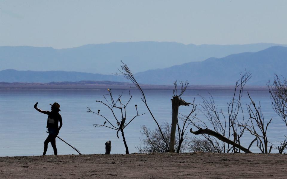 A visitor takes a selfie beside decorated trees and wood in Bombay Beach.