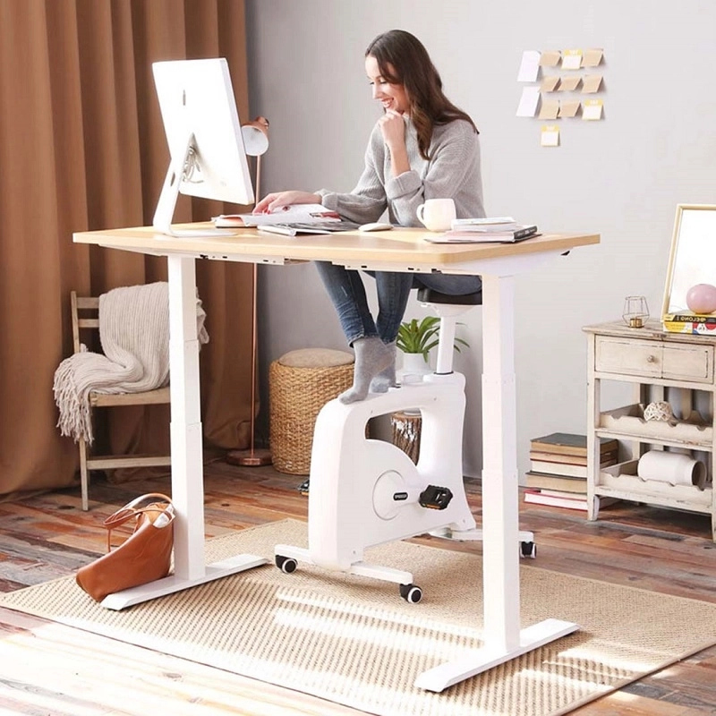 flexispot desk review