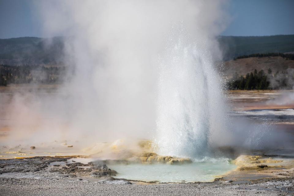 Yellowstone National Park