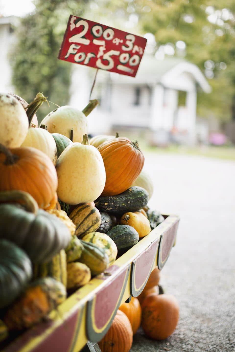 28) Shop at your local farmer's market.