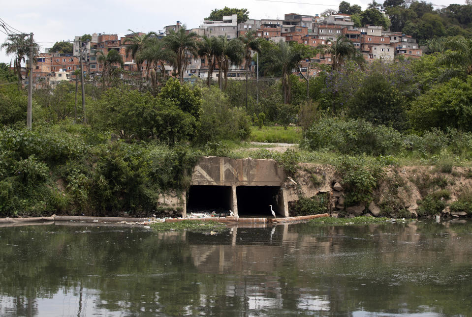 Birds perch near a sewage canal that flows into the Pinheiros River in Sao Paulo, Brazil, Thursday, Oct. 22, 2020. Affected by domestic sewage and solid wastes discharges for years, Sao Paulo's state government is again trying to clean the Pinheiros River, considered one of the most polluted in Brazil. (AP Photo/Andre Penner)