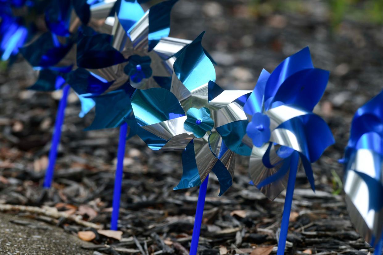 The blue pinwheel is a symbol to mark Child Abuse Prevention Month.