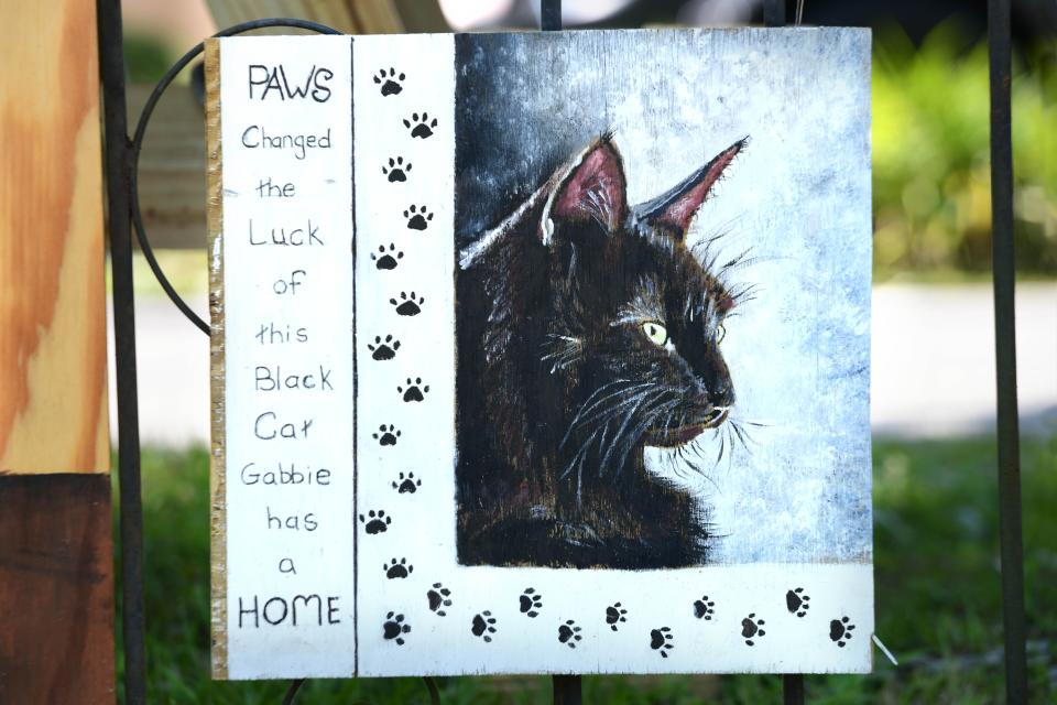 This painting of a cat adopted from the Panhandle Animal Welfare Society is part of an art exhibit entitled “We Were Sheltered,” which is on display at PAWS' thrift store, Junkyard Dog, in Cinco Bayou.