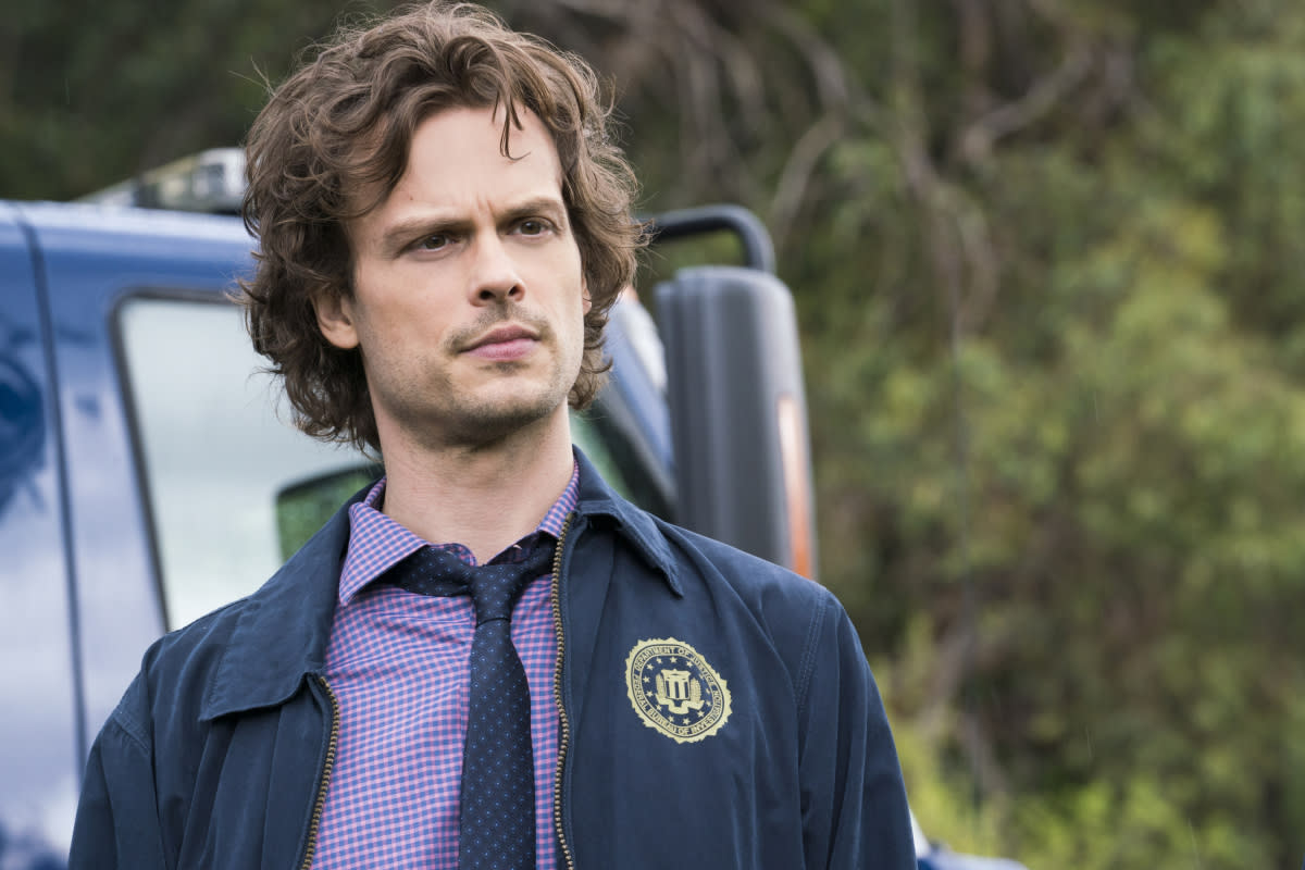 Matthew Gray Gubler as Dr. Spencer Reid