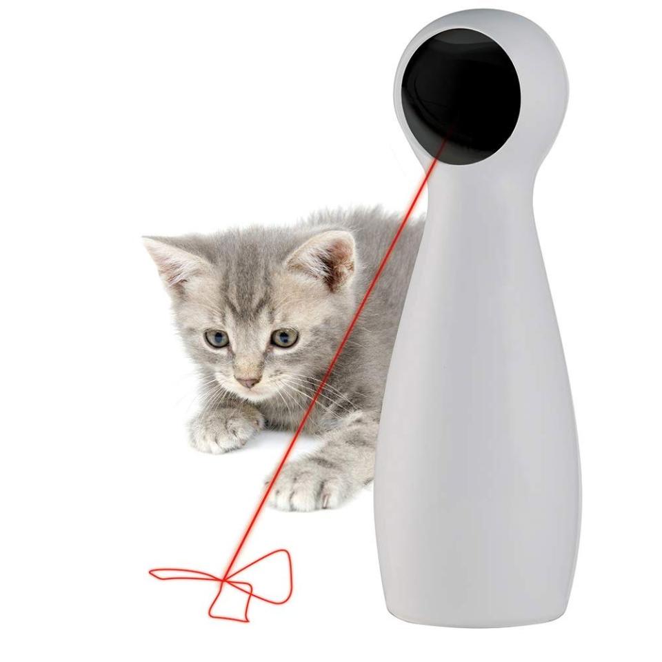 PetSafe Bolt Interactive Laser