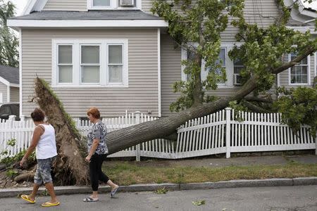 Women walk past a fallen tree after a storm on Wilson Street in Revere, Massachusetts, July 28, 2014. REUTERS/Dominick Reuter